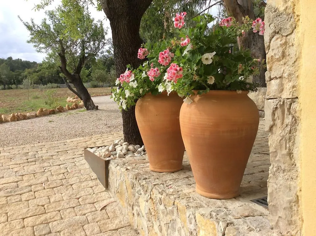 Hotel Finca Son Ametler Moscari