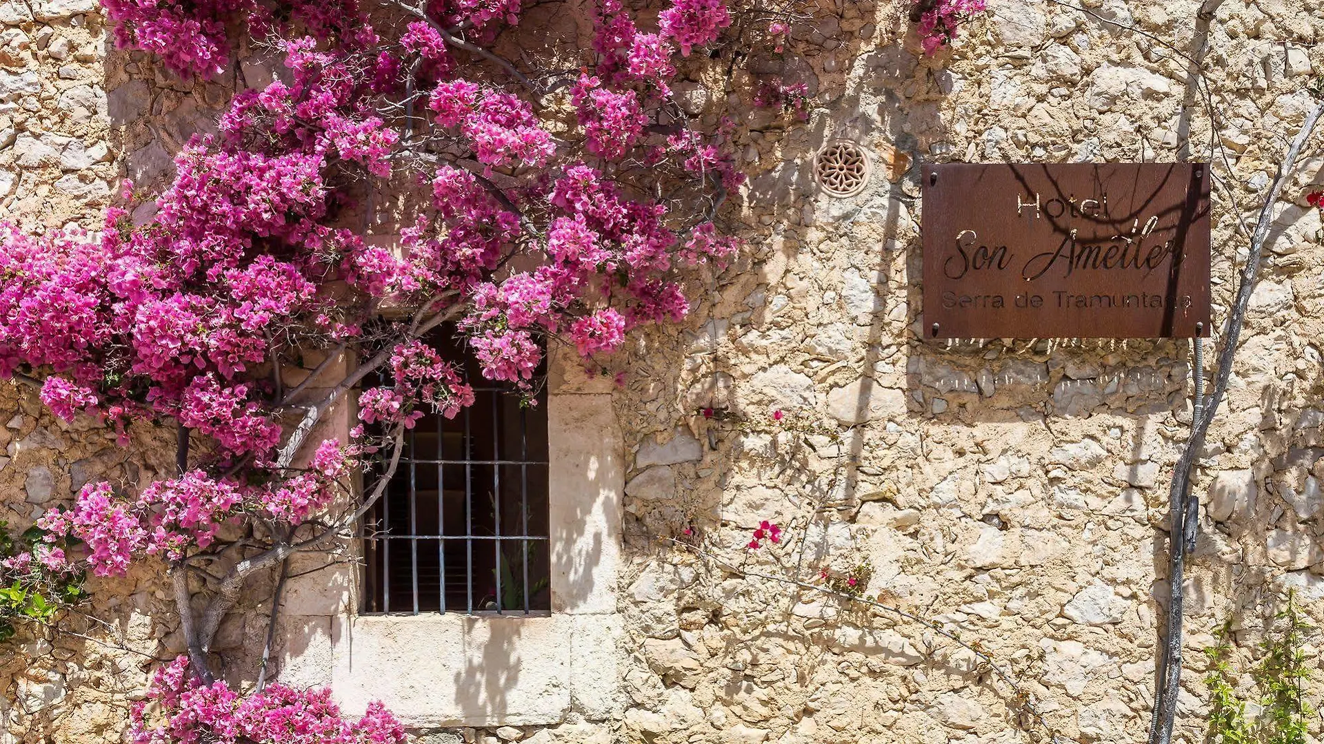 Finca Son Ametler Moscari